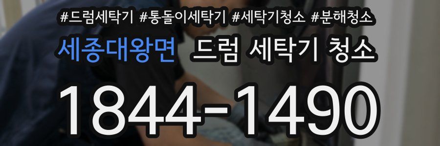 세종대왕면 드럼 세탁기 청소