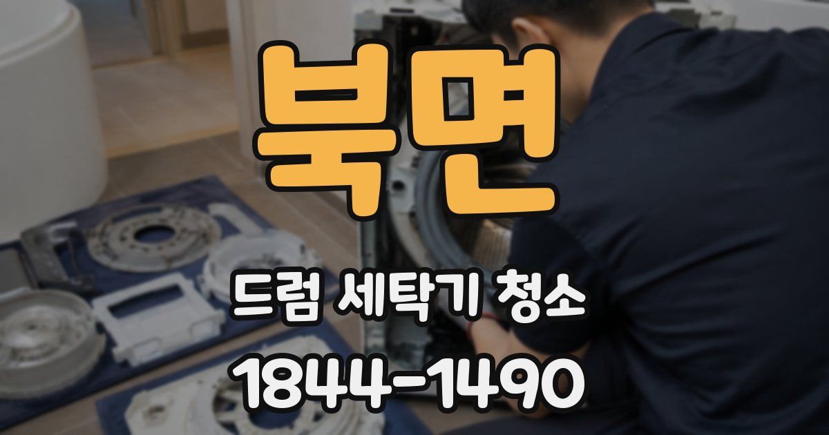 북면 드럼 세탁기 청소