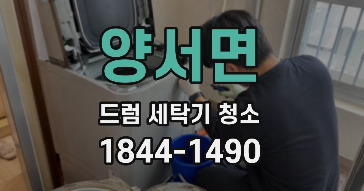 양서면 드럼 세탁기 청소