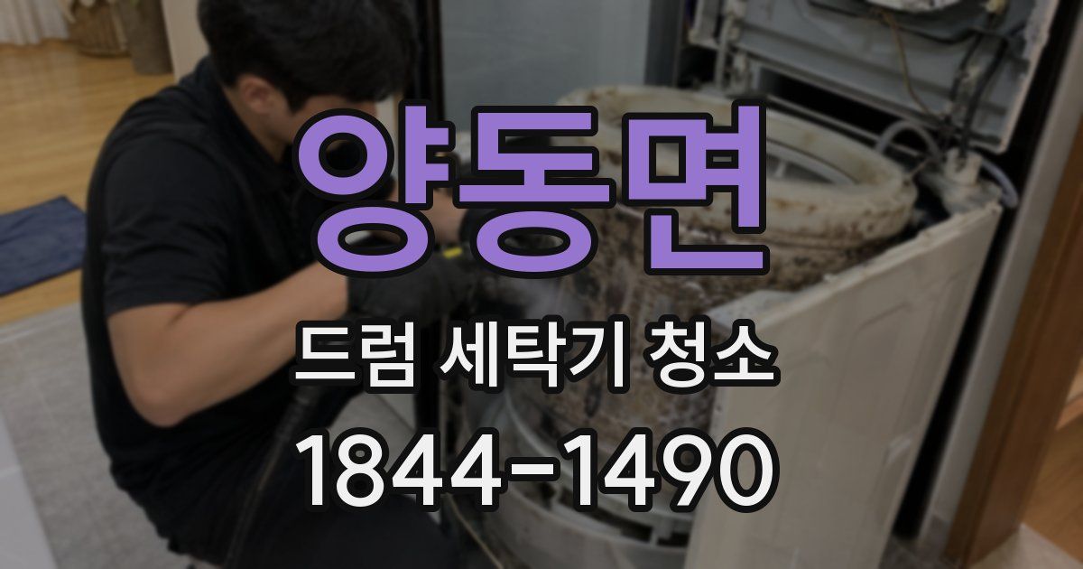 양동면 드럼 세탁기 청소