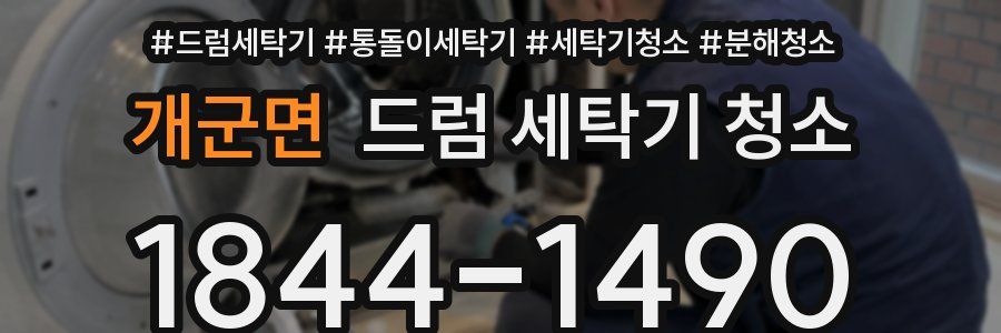 개군면 드럼 세탁기 청소