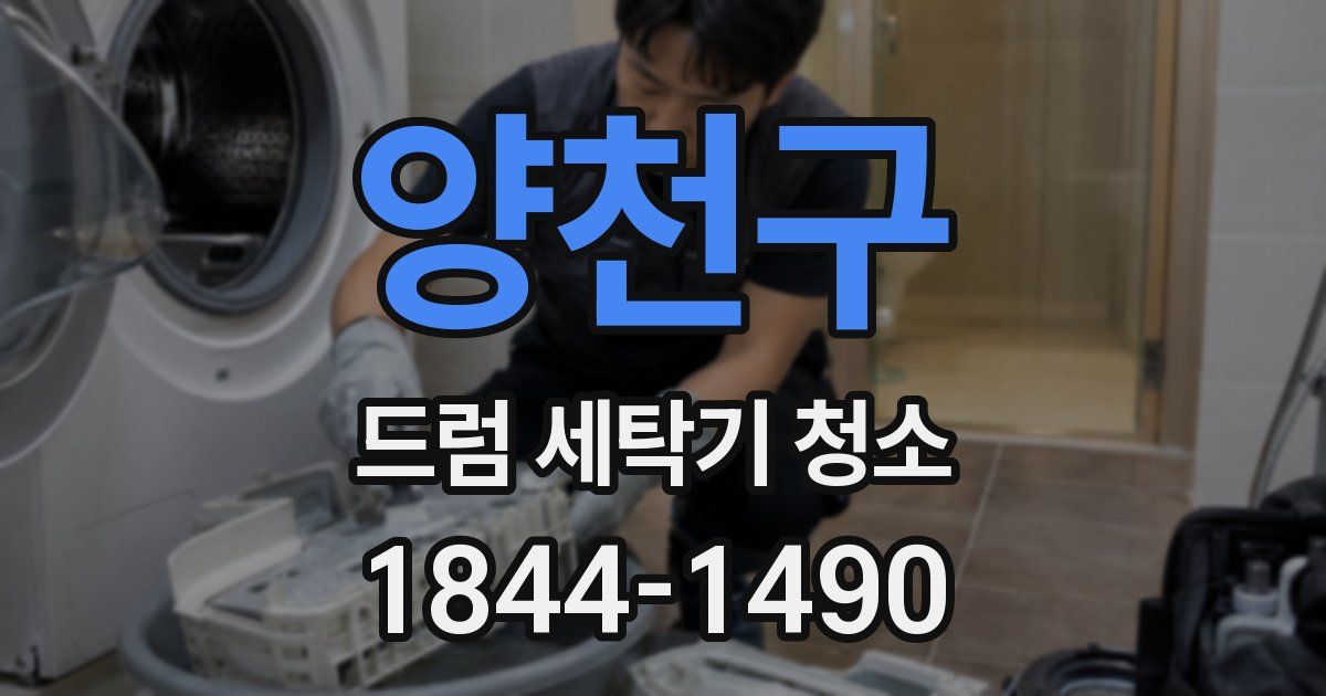 양천구 드럼 세탁기 청소