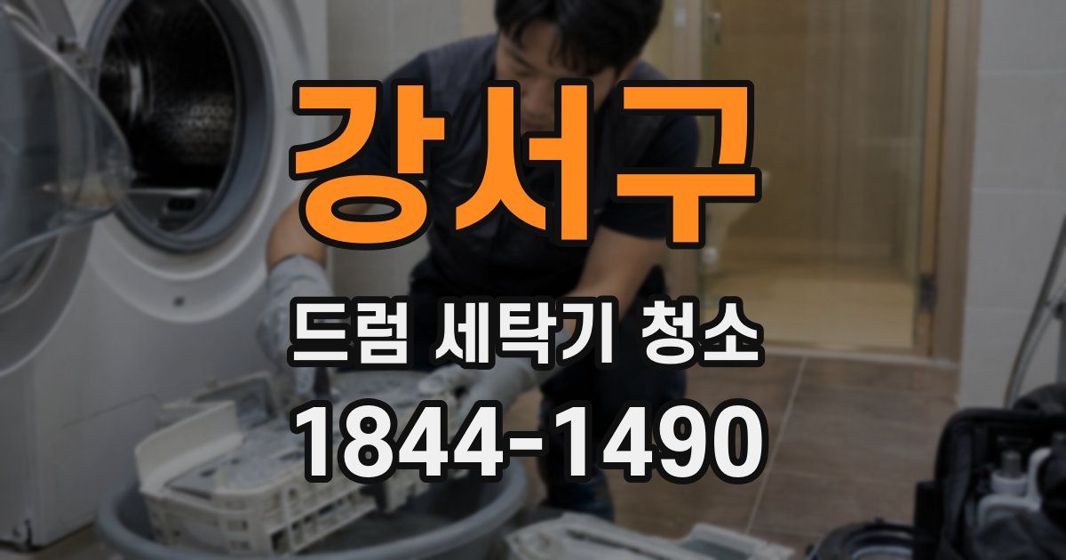 강서구 드럼 세탁기 청소