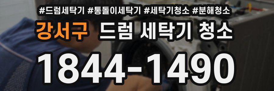 강서구 드럼 세탁기 청소