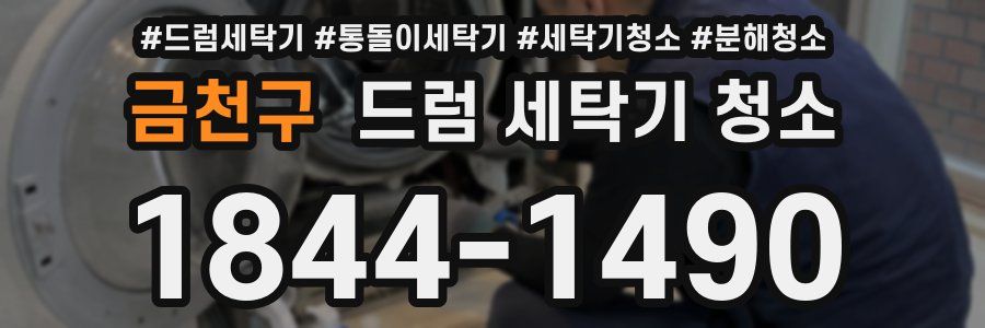금천구 드럼 세탁기 청소