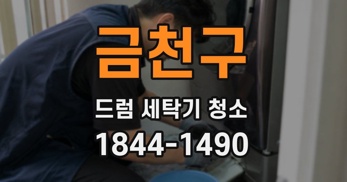 금천구 드럼 세탁기 청소