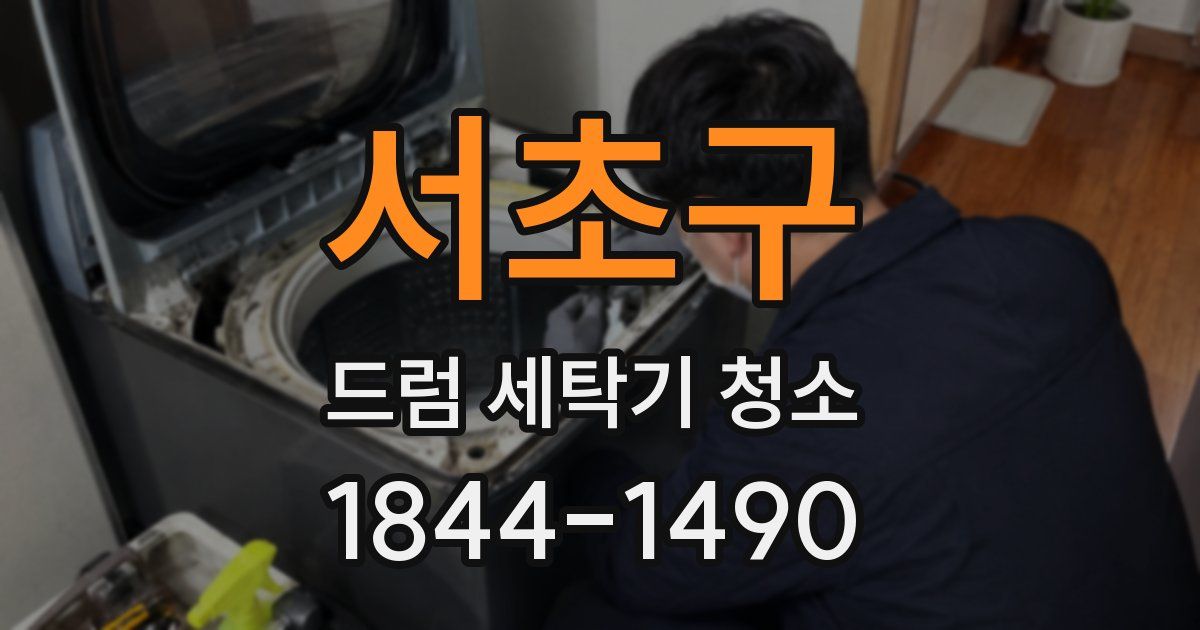 서초구 드럼 세탁기 청소