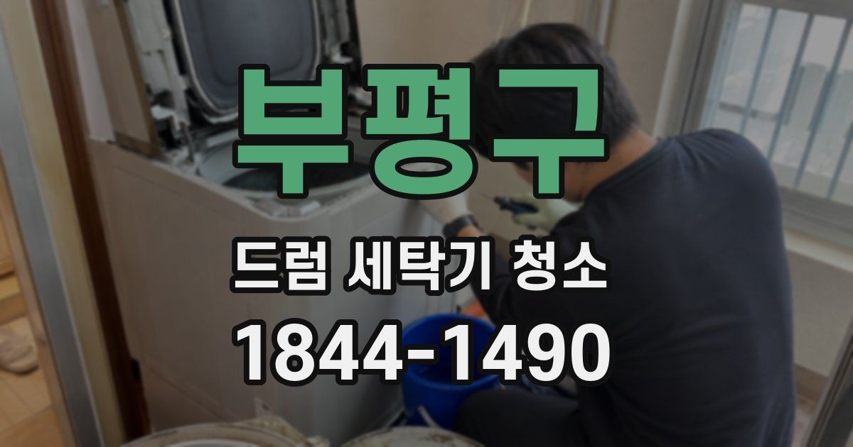부평구 드럼 세탁기 청소