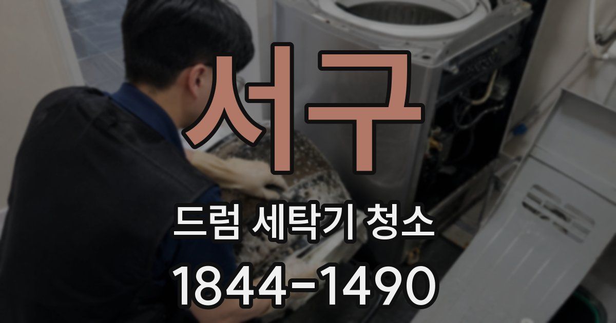 서구 드럼 세탁기 청소