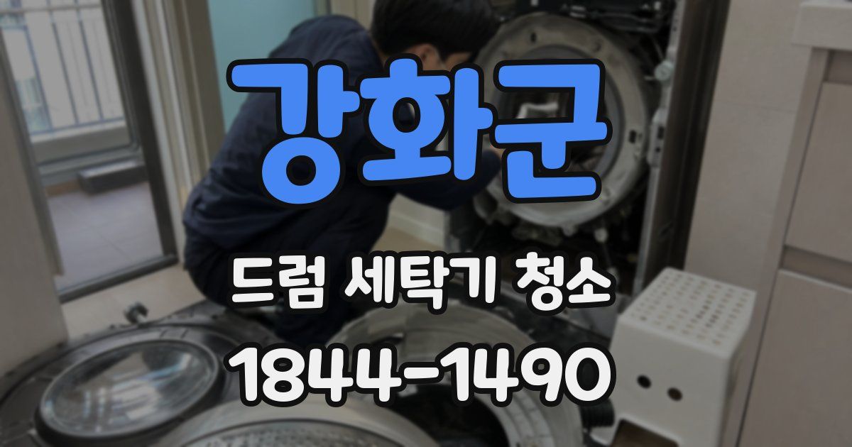 강화군 드럼 세탁기 청소