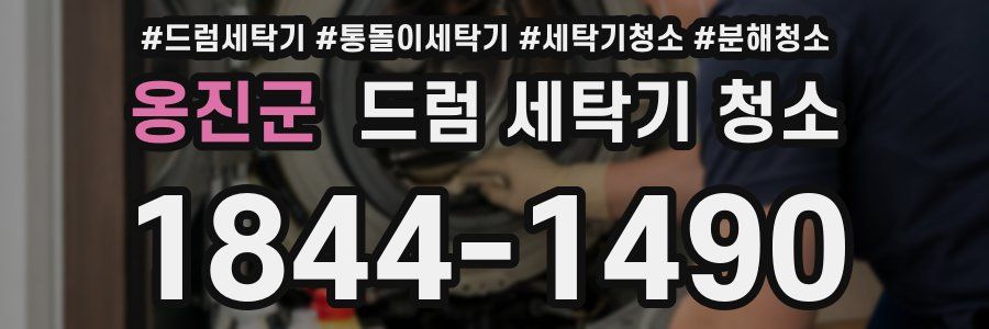 옹진군 드럼 세탁기 청소