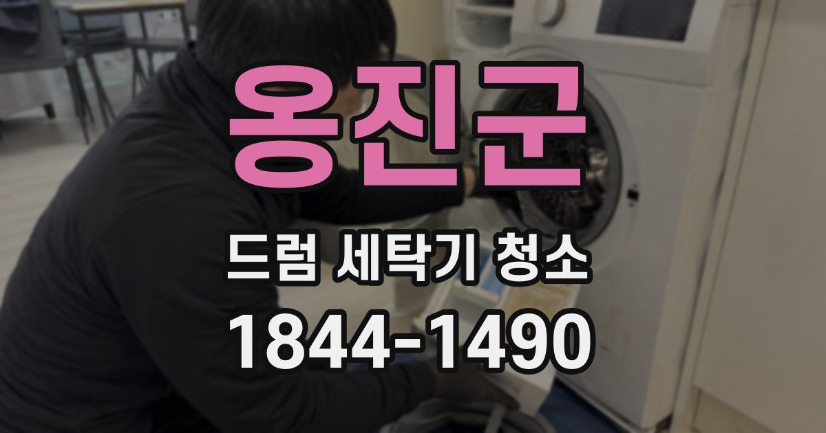 옹진군 드럼 세탁기 청소