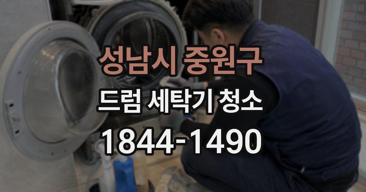 성남시 중원구 드럼 세탁기 청소