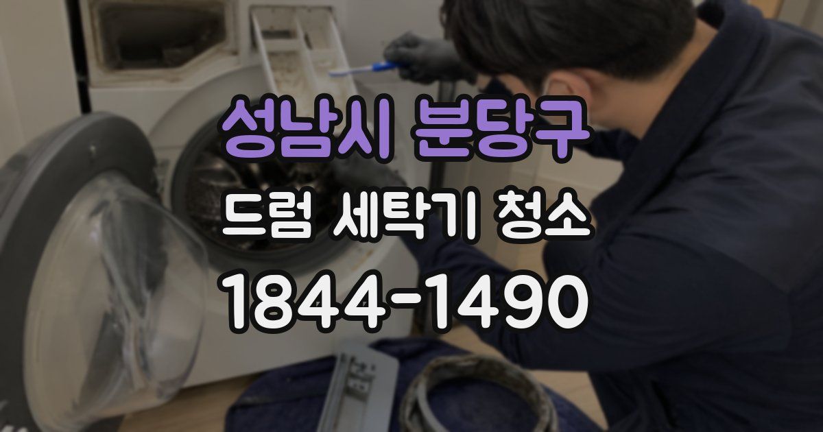 성남시 분당구 드럼 세탁기 청소