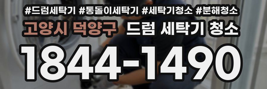 고양시 덕양구 드럼 세탁기 청소