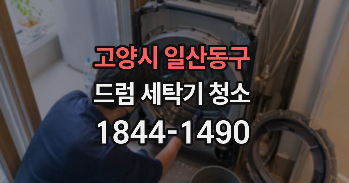 고양시 일산동구 드럼 세탁기 청소
