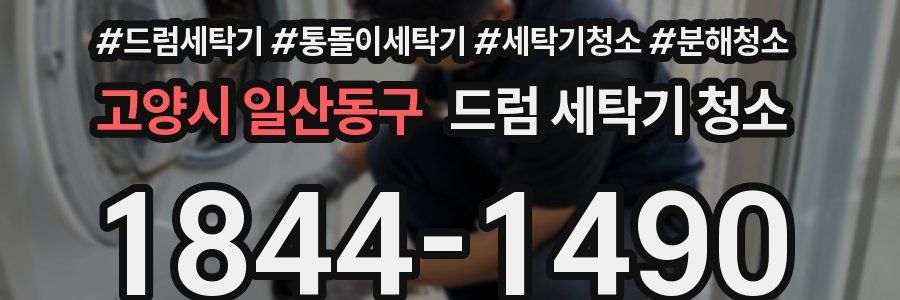 고양시 일산동구 드럼 세탁기 청소