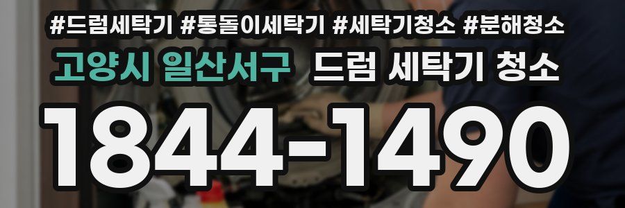 고양시 일산서구 드럼 세탁기 청소