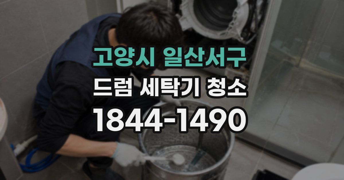 고양시 일산서구 드럼 세탁기 청소