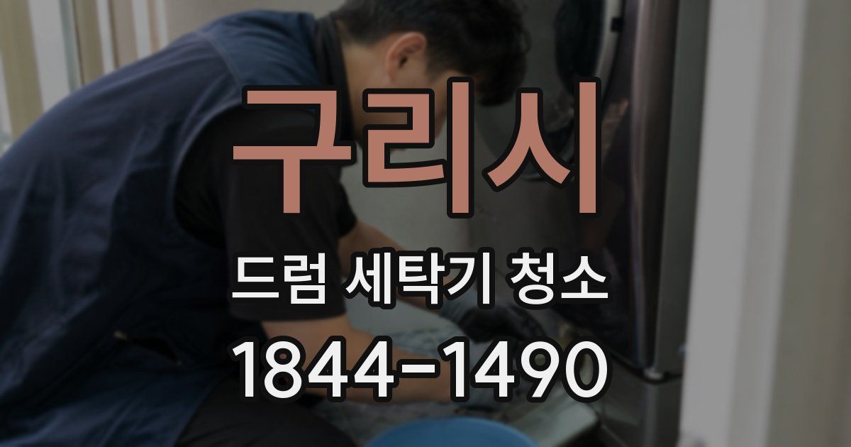 구리시 드럼 세탁기 청소