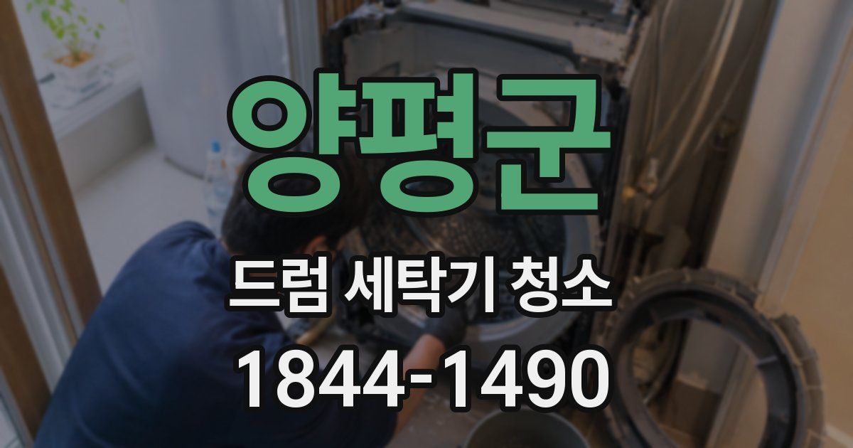 양평군 드럼 세탁기 청소