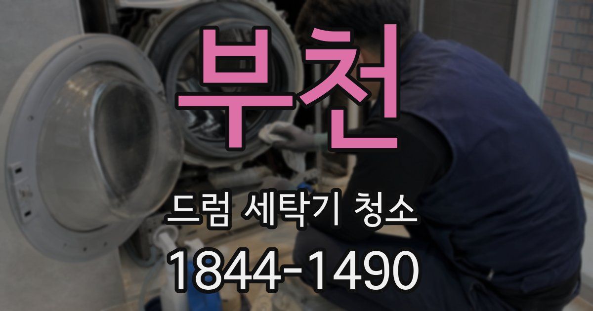 부천 드럼 세탁기 청소