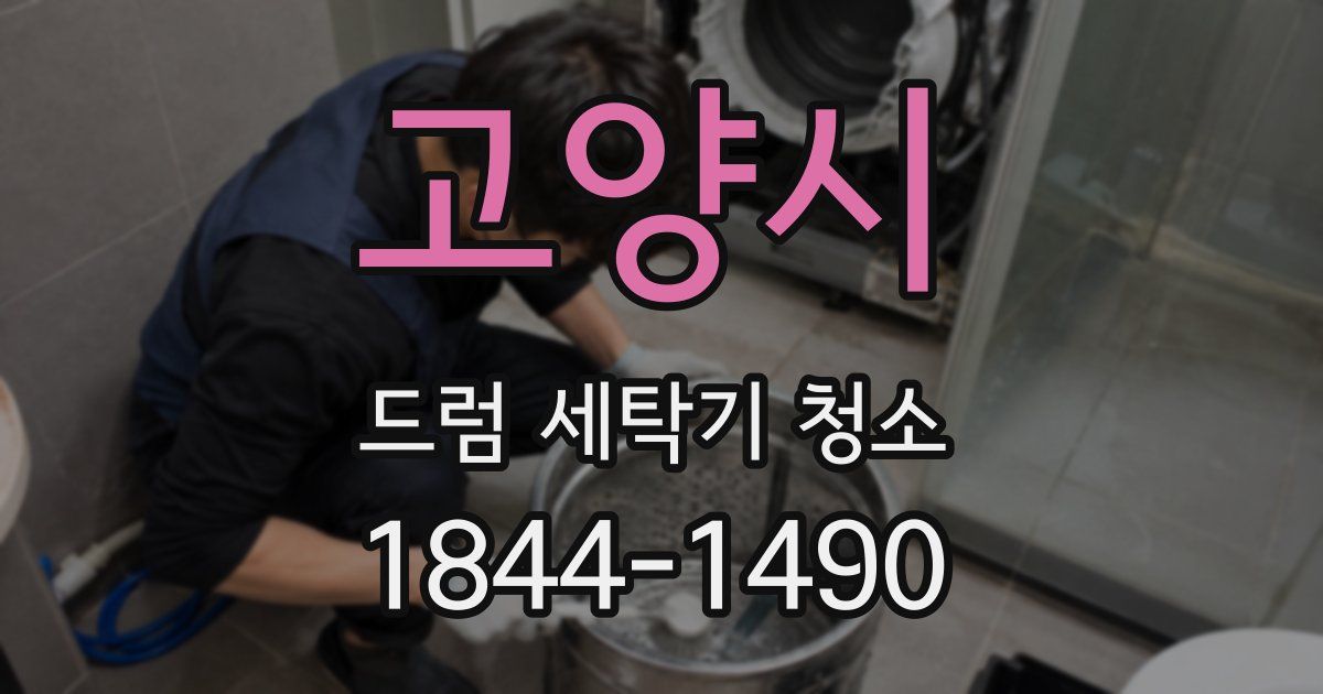 고양시 드럼 세탁기 청소