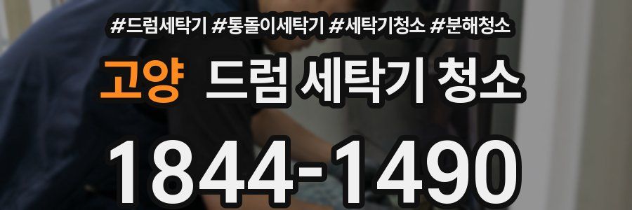 고양 드럼 세탁기 청소