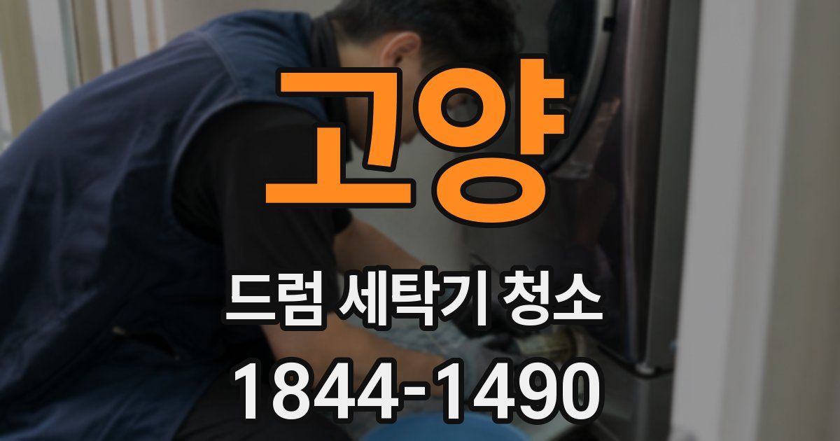고양 드럼 세탁기 청소