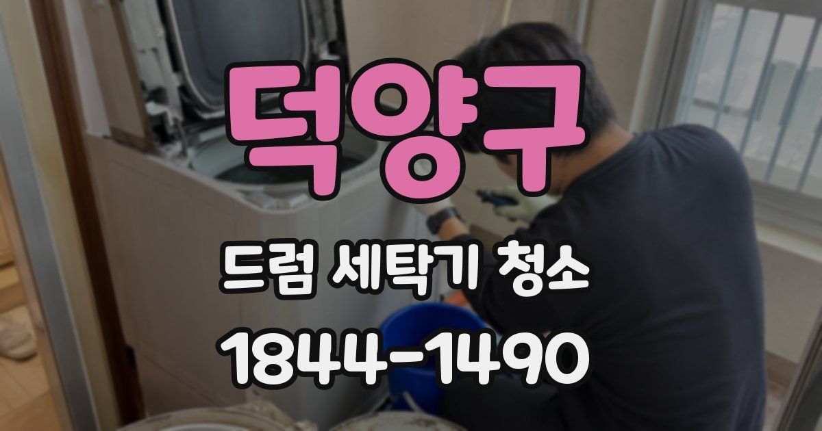 덕양구 드럼 세탁기 청소