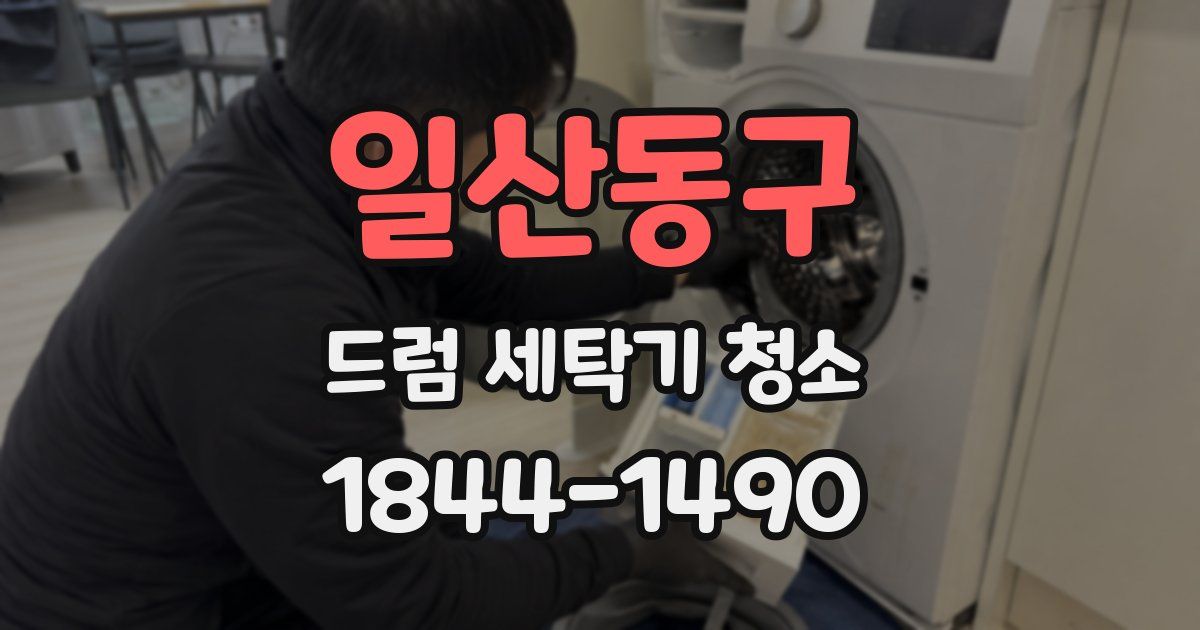 일산동구 드럼 세탁기 청소