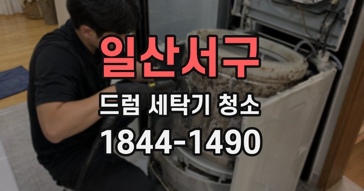 일산서구 드럼 세탁기 청소