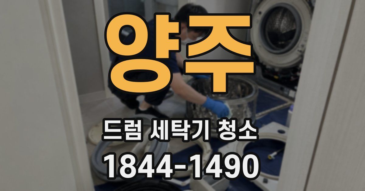 양주 드럼 세탁기 청소
