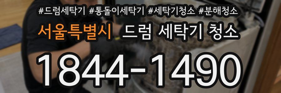 서울특별시 드럼 세탁기 청소