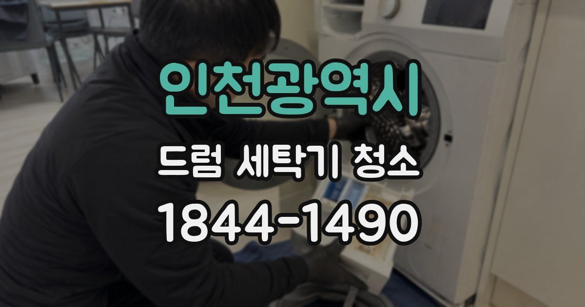 인천광역시 드럼 세탁기 청소
