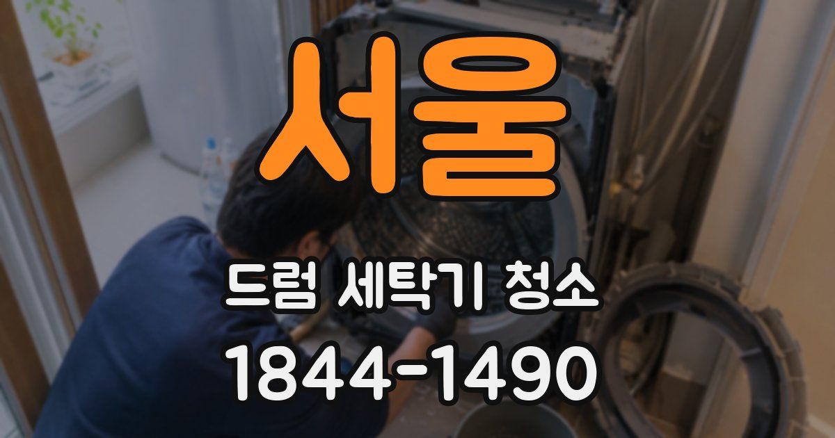 서울 드럼 세탁기 청소
