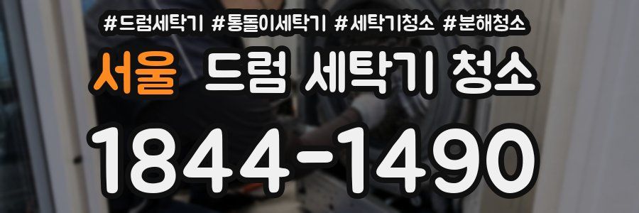 서울 드럼 세탁기 청소