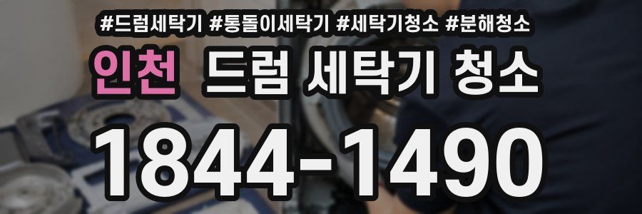 인천 드럼 세탁기 청소