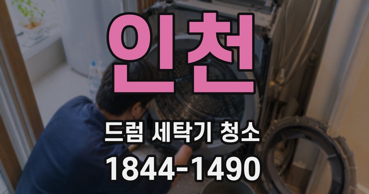 인천 드럼 세탁기 청소