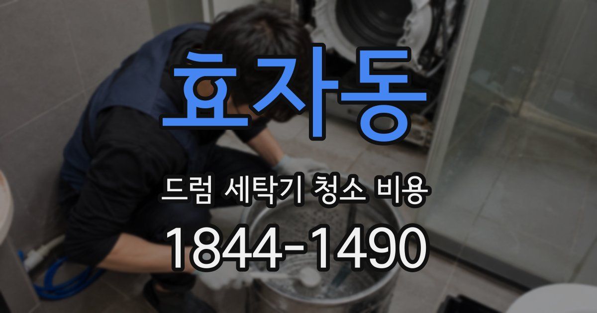 효자동 드럼 세탁기 청소 비용