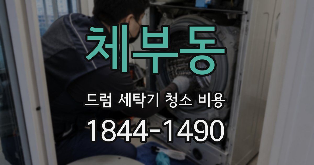 체부동 드럼 세탁기 청소 비용