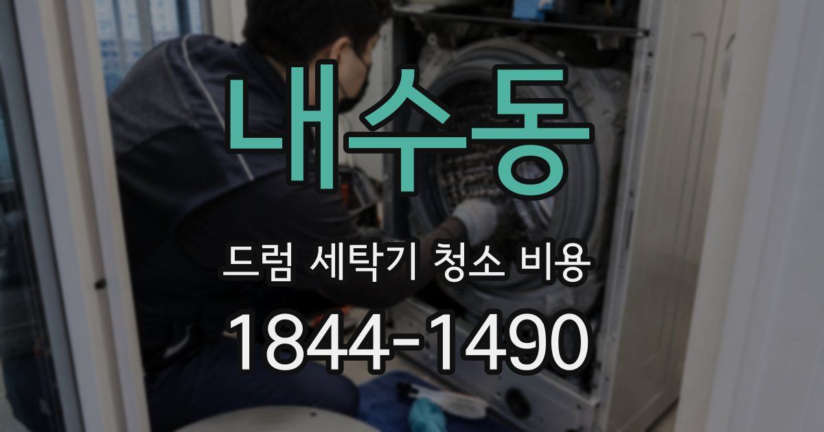 내수동 드럼 세탁기 청소 비용