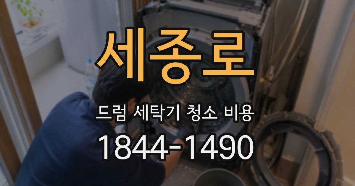 세종로 드럼 세탁기 청소 비용