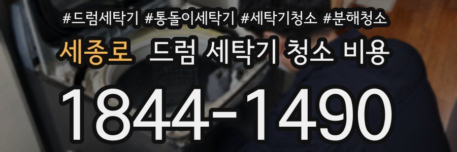 세종로 드럼 세탁기 청소 비용