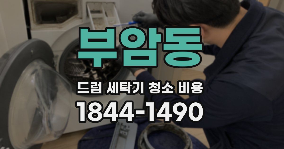 부암동 드럼 세탁기 청소 비용