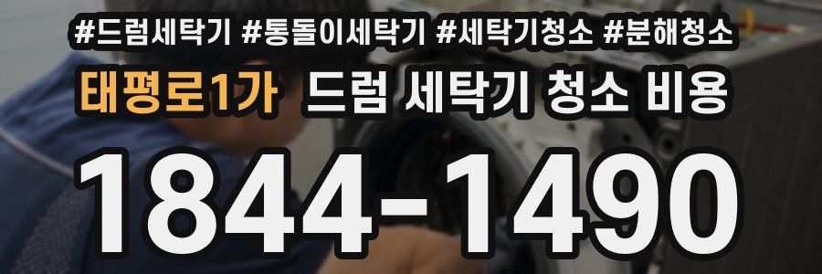 태평로1가 드럼 세탁기 청소 비용