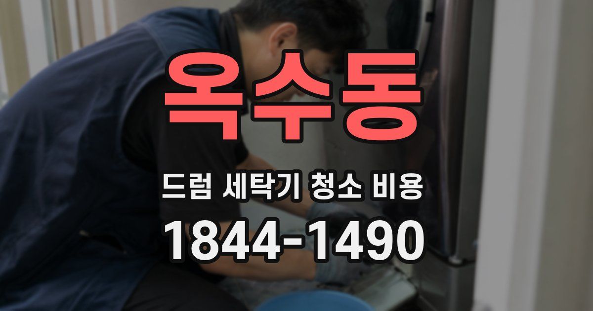 옥수동 드럼 세탁기 청소 비용