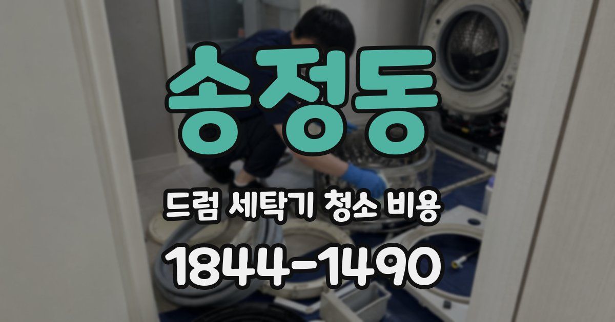 송정동 드럼 세탁기 청소 비용