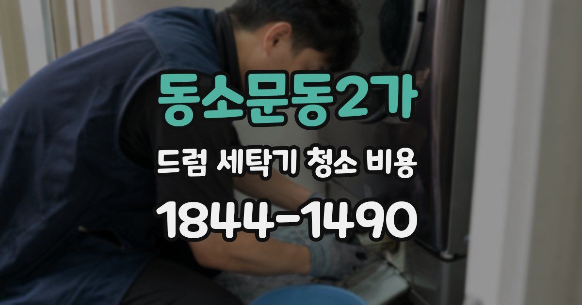 동소문동2가 드럼 세탁기 청소 비용