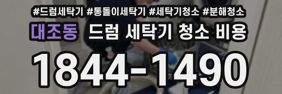 대조동 드럼 세탁기 청소 비용